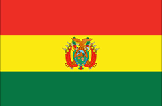 SMS gateway for Bolivia