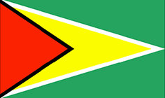 SMS gateway for Guyana