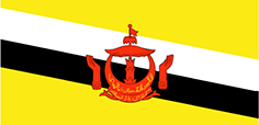SMS gateway for Brunei