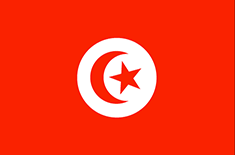 SMS gateway for Tunisia